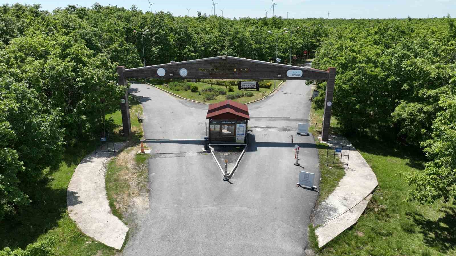 Doğaseverlerin yeni uğrak noktası: Esenyurt Belediyesi Danamandıra Tabiat Parkı
