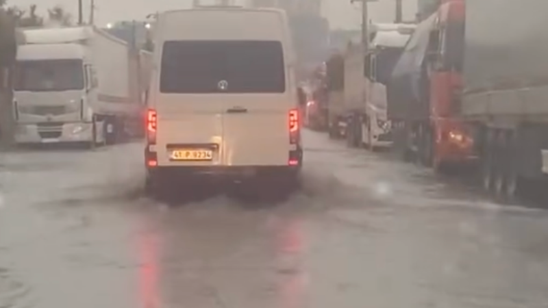 Yolları su bastı, ağaçlar devrildi