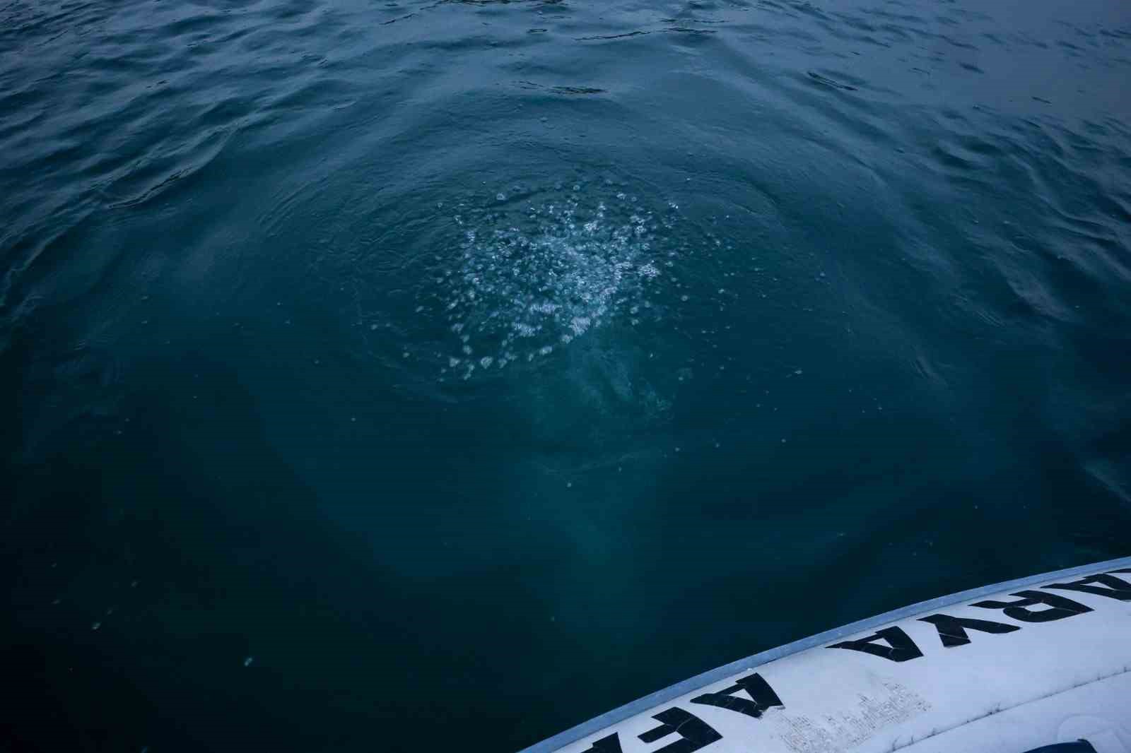 Sapanca Gölü’ndeki kabarcıkların verdiği endişe artıyor!