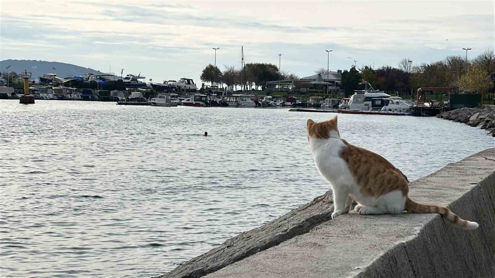 Kartal’da üşüten manzara: İki arkadaş soğukta denize girdi

