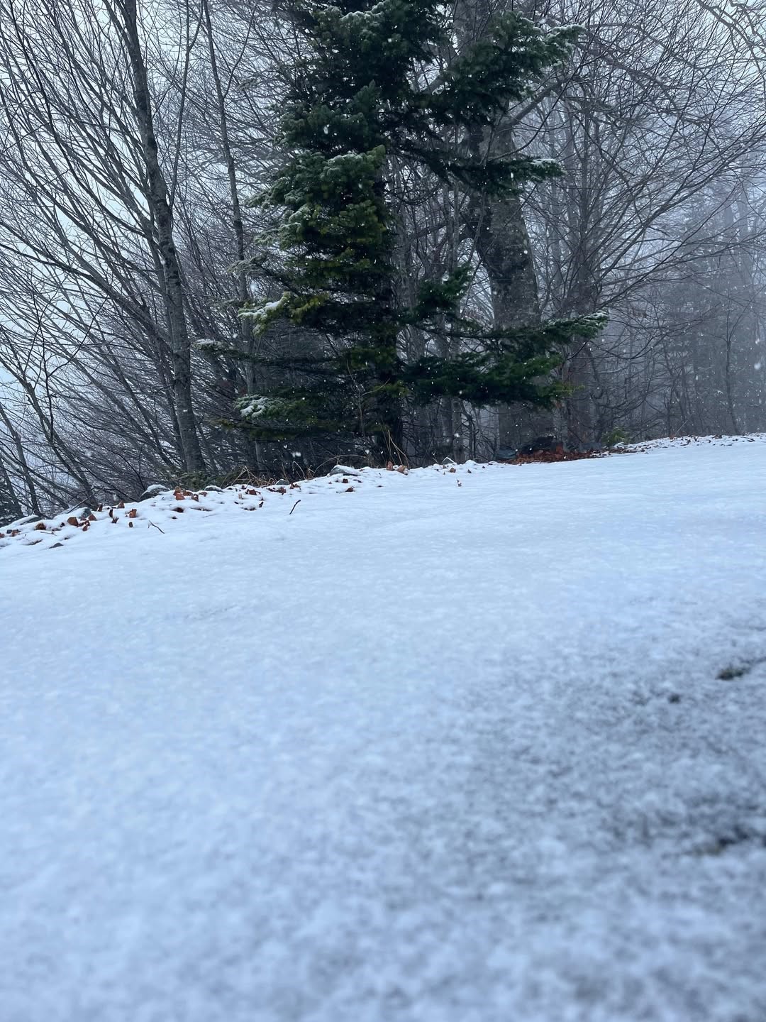 Kartepe beyaza büründü