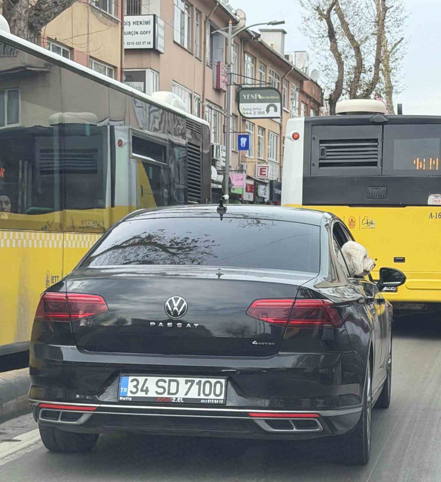 Üsküdar’da yeni başkan eski başkanın makam aracını köpeğine tahsis etti iddiası