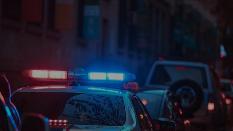 Dolandırıcılık operasyonu: 24 şüpheli tutuklandı