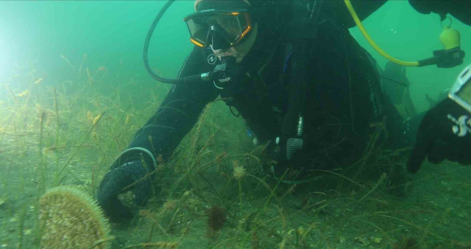 Belediye başkanı dalış yaptı, su altından müjdeyle çıktı