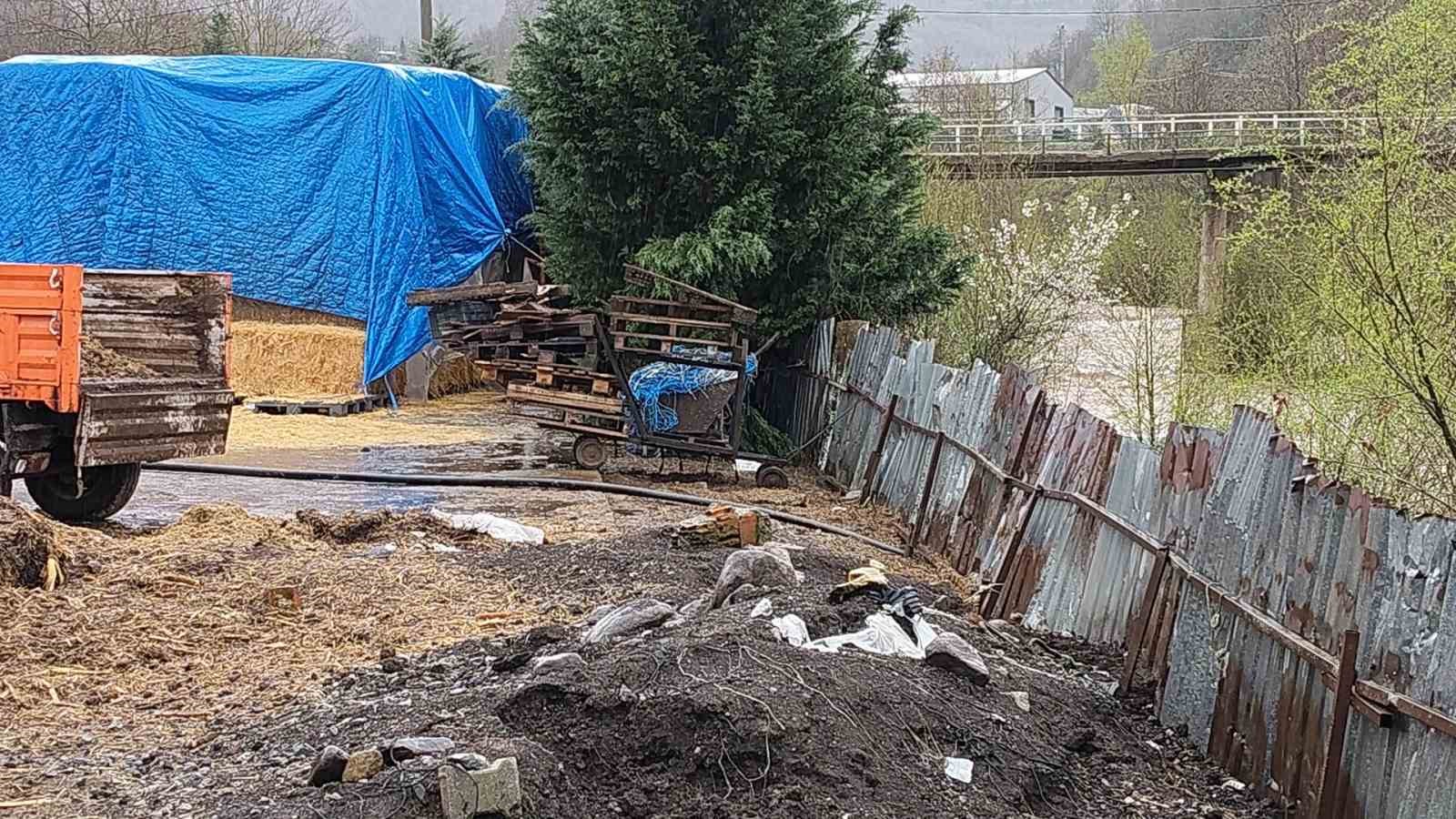 Dereye hayvansal atık bırakan çiftlikler yakalandı