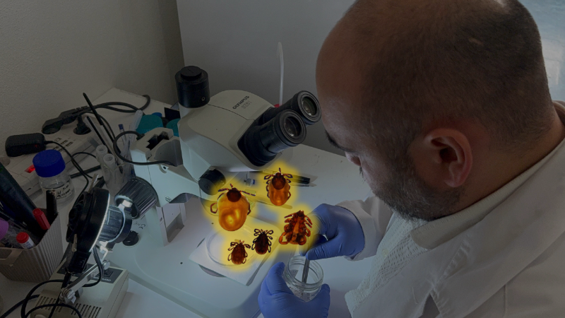 Uzmanı uyardı: "Kar örtüsü keneleri yok etmiyor"