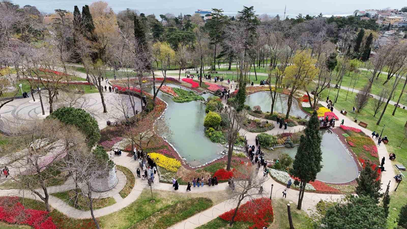 İstanbul’un simgesi laleler şehri yeniden renklendirdi
