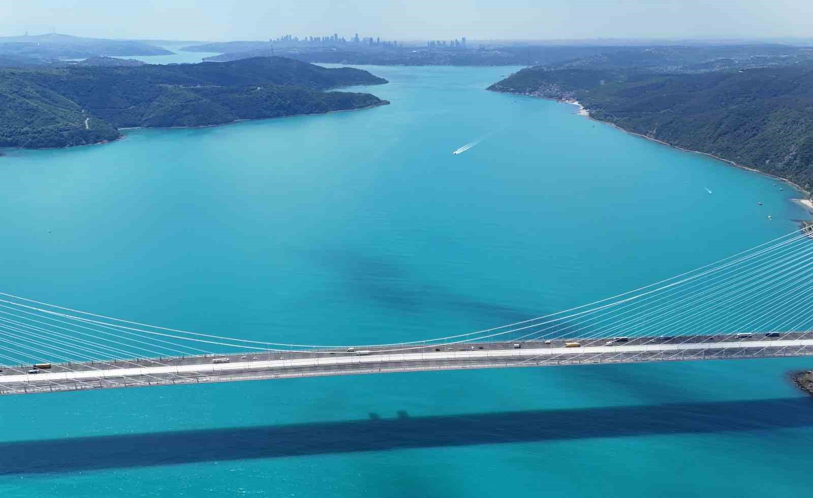 Turkuaza dönen İstanbul boğazında yunuslar akın etti