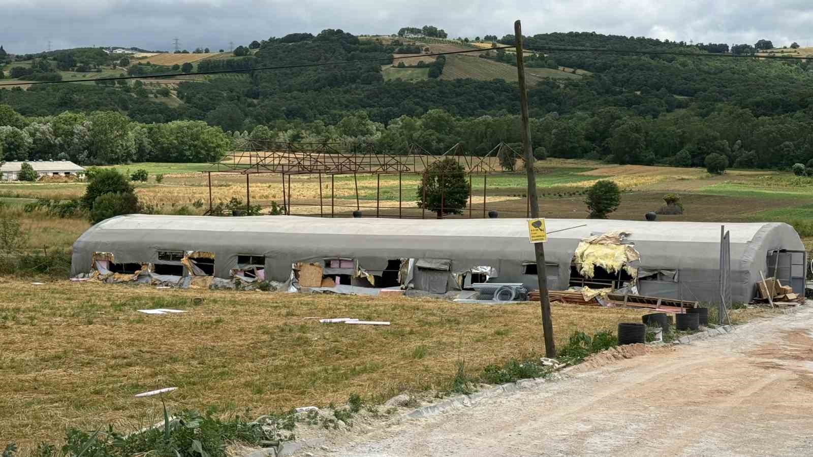 Hayvan çiftliğindeki yangında 5 kuzu telef oldu, bin balya küle döndü