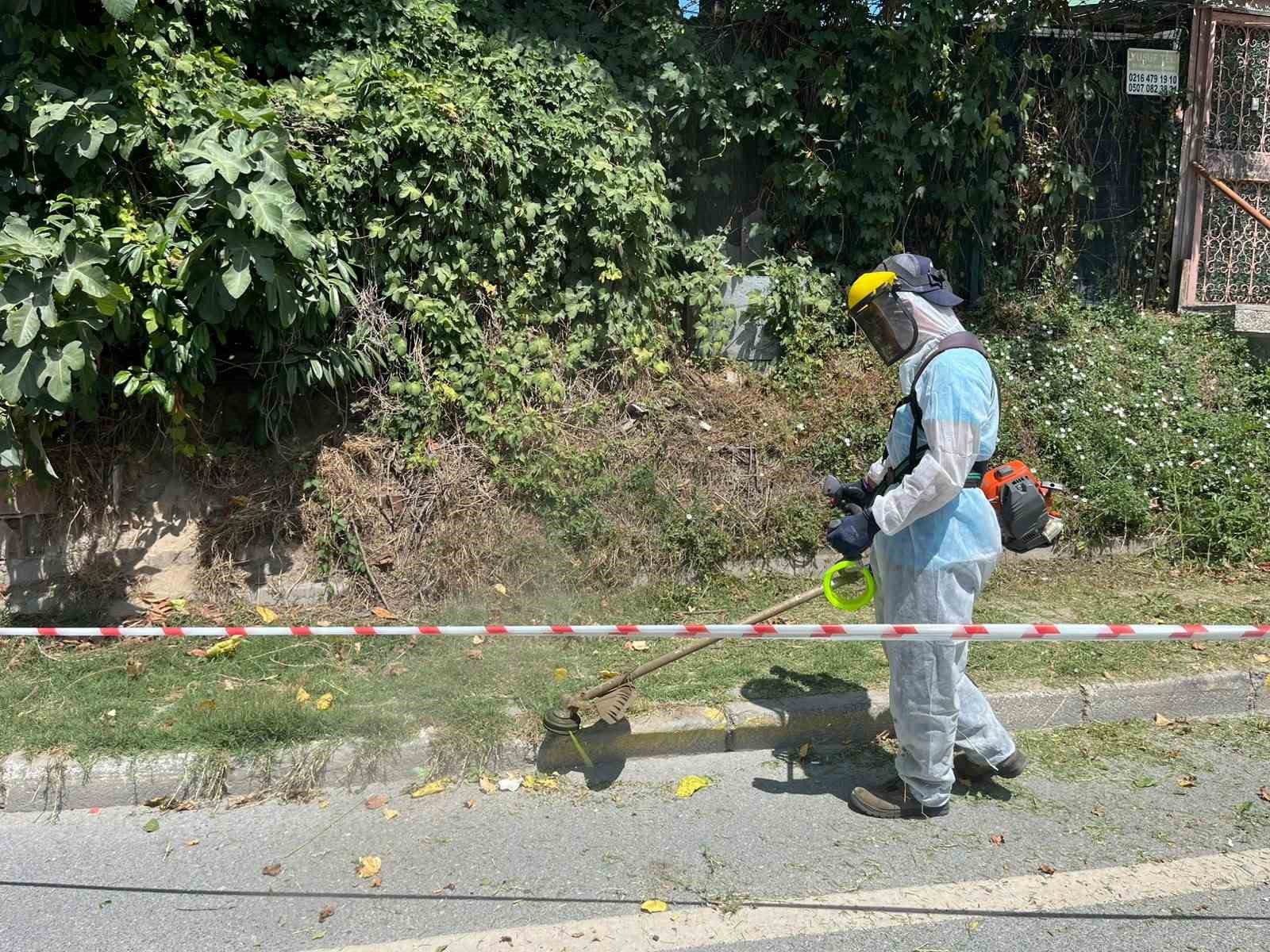 İBB’nin sorumluluğundaki yollarda otlar metrelerce uzadı, temizliği Beykoz Belediyesi yaptı